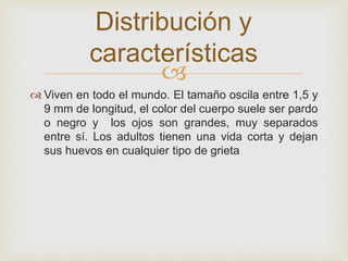 
 Viven en todo el mundo. El tamaño oscila entre 1,5 y
9 mm de longitud, el color del cuerpo suele ser pardo
o negro y los ojos son grandes, muy separados
entre sí. Los adultos tienen una vida corta y dejan
sus huevos en cualquier tipo de grieta
Distribución y
características
 
