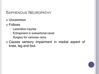 SAPHENOUS NEUROPATHY 
 Uncommon 
 Follows 
Laceration injuries 
Entrapment in subsartorial canal 
Surgery for varicose veins 
 Causes sensory impairment in medial aspect of 
knee, leg and foot. 
 