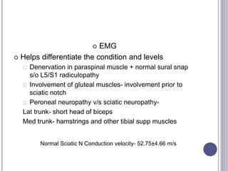  EMG 
 Helps differentiate the condition and levels 
Denervation in paraspinal muscle + normal sural snap 
s/o L5/S1 radiculopathy 
Involvement of gluteal muscles- involvement prior to 
sciatic notch 
Peroneal neuropathy v/s sciatic neuropathy- 
Lat trunk- short head of biceps 
Med trunk- hamstrings and other tibial supp muscles 
Normal Sciatic N Conduction velocity- 52.75±4.66 m/s 
 