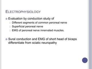 ELECTROPHYSIOLOGY 
 Evaluation by conduction study of 
Different segments of common peroneal nerve 
Superficial peroneal nerve 
EMG of peroneal nerve innervated muscles. 
 Sural conduction and EMG of short head of biceps 
differentiate from sciatic neuropathy 
 