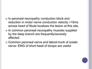  In peroneal neuropathy conduction block and 
reduction in motor nerve conduction velocity >10ms 
across head of fibula localizes the lesion at this site. 
 In common peroneal neuropathy muscles supplied 
by the deep branch are frequently/severely 
affected. 
 Common peroneal nerve and lateral trunk of sciatic 
nerve- EMG of short head of biceps are useful 
 