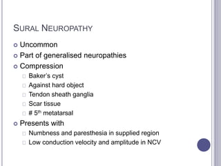 SURAL NEUROPATHY 
 Uncommon 
 Part of generalised neuropathies 
 Compression 
Baker’s cyst 
Against hard object 
Tendon sheath ganglia 
Scar tissue 
# 5th metatarsal 
 Presents with 
Numbness and paresthesia in supplied region 
Low conduction velocity and amplitude in NCV 
 