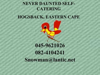 NEVER DAUNTED SELF-
CATERING
HOGSBACK, EASTERN CAPE
045-9621026
082-4104241
Snowman@lantic.net
 