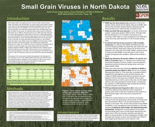 Introduction                                                                                                                                                                  Divide         Burke       Renville
                                                                                                                                                                                                          9/10
                                                                                                                                                                                                                             Bottineau
                                                                                                                                                                                                                               4/13
                                                                                                                                                                                                                                                  Rolette
                                                                                                                                                                                                                                                   1/2
                                                                                                                                                                                                                                                               Towner        Cavalier
                                                                                                                                                                                                                                                                              4/12
                                                                                                                                                                                                                                                                                             Pembina
                                                                                                                                                                                                                                                                                               1/3
                                                                                                                                                                                                                                                                                                                           Results
  North Dakota (ND) is the largest producer of durum wheat, hard red spring                                                                                                  Williams
                                                                                                                                                                               1/1                                                               Pierce
                                                                                                                                                                                                                                                                                            Walsh                           WSMV was the most common virus, detected in 53.3% of all
  wheat, and barley in the United States. To a lesser extent, winter wheat is grown                                                                                                         Mountraill
                                                                                                                                                                                                            Ward
                                                                                                                                                                                                            36/43               McHenry          0/3                    Ramsey
                                                                                                                                                                                                                                                                                             1/1
                                                                                                                                                                                                                                                                                                                               samples. Winter wheat had the highest infection by WSMV, with
                                                                                                                                                                                                                                  2/2                  Benson             2/4
  in ND, with acres fluctuating between 200,000 and 600,000 in the past six years.                                                                                                            2/7                                                      7/7
                                                                                                                                                                                                                                                                                  Nelson         Grand Forks
                                                                                                                                                                                                                                                                                                     1/4                       58.5% of the submitted samples infected, followed by spring
  Wheat streak mosaic virus (WSVM), a virus vectored by the wheat curl mite                                                                                                   McKenzie                                                                                             4/6


  (Aceria tosichella), has historically impacted yield in ND, and depending on the
                                                                                                                                                                                2/2                          McLean
                                                                                                                                                                                                              2/6
                                                                                                                                                                                                                                      Sheridan         Wells
                                                                                                                                                                                                                                                                      Eddy
                                                                                                                                                                                                                                                                       1/1                                                     wheat (50.9%), durum wheat (43.8%), and barley (9.1%).
                                                                                                                                                                                                                                                                                                                           
                                                                                                                                                                                                                                                       5/7            Foster                                Traill
                                                                                                                                                                                         Dunn                                           1/4                                      Griggs     Steele           0/2
  year, the effect can be severe. For example, wheat streak caused an estimated                                                                                               Billings
                                                                                                                                                                                          4/5            Mercer                                                        2/2
                                                                                                                                                                                                                                                                                  4/8        1/1
                                                                                                                                                                                                                                                                                                                               WMoV and BYDV-PAV were detected in 12.1% and 10.9% of the
                                                                                                                                                                                1/1                                 Oliver
  $40-million loss in 1988 (5), and yield losses of up to 100% have been observed                                                                                   Golden
                                                                                                                                                                                                                     2/2             Burleigh      Kidder           Stutsman            Barnes            Cass                 samples, respectively, between 2008 and 2011. Although CYDV-
                                                                                                                                                                                                                Morton                 4/9          0/3                0/3               1/3              2/20
  in severely infected fields (3). Yellow dwarf viruses such as Barley yellow dwarf                                                                                 Valley
                                                                                                                                                                     2/8
                                                                                                                                                                                         Stark
                                                                                                                                                                                         13/29                   3/7
                                                                                                                                                                                                                                                                                                                               RPV was detected in 3 of 13 samples in preliminary virus
  virus strain PAV (BYDV-PAV) and Cereal yellow dwarf virus strain RPV (CYDV-RPV)                                                                                        Slope
                                                                                                                                                                          0/1
                                                                                                                                                                                          Hettinger                                                         Logan
                                                                                                                                                                                                                                                             9/10
                                                                                                                                                                                                                                                                             LaMoure
                                                                                                                                                                                                                                                                               0/1
                                                                                                                                                                                                                                                                                                 Ransom
                                                                                                                                                                                                                                                                                                  10/12                        screening in 2007 (Table 1), it was not detected in the 2008-2011
  (formerly classified as a strain of Barley yellow dwarf virus) are also important                                                                                                         6/9             Grant                        Emmons                                                                 Richland
                                                                                                                                                                                                                                                                                                                   0/4

  viruses in ND that can impact both yield and grain quality (2). Two relatively
                                                                                                                                                                       Bowman
                                                                                                                                                                         5/12
                                                                                                                                                                                          Adams
                                                                                                                                                                                           4/7
                                                                                                                                                                                                                             Sioux
                                                                                                                                                                                                                                          6/10
                                                                                                                                                                                                                                                          McIntosh
                                                                                                                                                                                                                                                            4/6
                                                                                                                                                                                                                                                                               Dickey
                                                                                                                                                                                                                                                                                1/4
                                                                                                                                                                                                                                                                                                  Sargent
                                                                                                                                                                                                                                                                                                    0/2
                                                                                                                                                                                                                                                                                                                               survey. No viruses were detected in 37.4% of samples among
                                                                                                                                                                                                                               1/1

  newly described viruses, Wheat mosaic virus (WMoV), formerly known as High                                                                                                                                                                                                                                                   years.
  plains virus (HPV), and Triticum mosaic virus (TriMV) have recently been
                                                                                                                                                                              Divide         Burke                           Bottineau            Rolette                    Cavalier        Pembina
                                                                                                                                                                                                                                                                                                                              Co-infection with two viruses occurred in 11.8% of samples
  detected in the region (6, 7). TriMV has not been confirmed in ND despite efforts                                                                                                                      Renville
                                                                                                                                                                                                          2/10                 0/13                0/2
                                                                                                                                                                                                                                                               Towner
                                                                                                                                                                                                                                                                              0/12             1/3
                                                                                                                                                                                                                                                                                                                               among years. Co-infection with WSMV and WMoV was most
  to detect it as part of a wheat virus survey sponsored by the Great Plains                                                                                                 Williams

  Diagnostic Network (GPDN) in 2008 (1) and subsequent years. WMoV has been
                                                                                                                                                                               0/1
                                                                                                                                                                                                            Ward
                                                                                                                                                                                                                                                 Pierce
                                                                                                                                                                                                                                                                                            Walsh
                                                                                                                                                                                                                                                                                             0/1
                                                                                                                                                                                                                                                                                                                               common followed by WSMV and BYDV-PAV, with 10.9% and 1.9%
                                                                                                                                                                                                                                McHenry          0/3                    Ramsey

  detected in ND every year since 2007. Yield losses due to virus infection have
                                                                                                                                                                                            Mountraill
                                                                                                                                                                                              0/7
                                                                                                                                                                                                            11/43
                                                                                                                                                                                                                                  0/2                  Benson
                                                                                                                                                                                                                                                       1/7
                                                                                                                                                                                                                                                                          0/4                                                  of samples infected, respectively. Infection by all three viruses
                                                                                                                                                                                                                                                                                  Nelson         Grand Forks

  been estimated between 5 and 10% in the nine-state region of the GPDN, and as                                                                                               McKenzie
                                                                                                                                                                                2/2                          McLean                                                   Eddy
                                                                                                                                                                                                                                                                                   2/6               0/4                       detected in the survey was rare (0.94%). WMoV usually occurred
  a result, viruses of small grains continue to be identified as important pathogens                                                                                                     Dunn
                                                                                                                                                                                                              0/6
                                                                                                                                                                                                                                      Sheridan
                                                                                                                                                                                                                                        0/4
                                                                                                                                                                                                                                                       Wells
                                                                                                                                                                                                                                                       0/7
                                                                                                                                                                                                                                                                       1/1
                                                                                                                                                                                                                                                                      Foster
                                                                                                                                                                                                                                                                                 Griggs     Steele
                                                                                                                                                                                                                                                                                                            Traill             in conjunction with WSMV; it occurred alone in only 1.2% of
                                                                                                                                                                                                                                                                                                             0/2
  (1).                                                                                                                                                                        Billings
                                                                                                                                                                                          1/5            Mercer                                                        0/2
                                                                                                                                                                                                                                                                                  1/8        0/1
                                                                                                                                                                                                                                                                                                                               samples among years (two samples in 2009 and two samples in
                                                                                                                                                                                0/1                                 Oliver
  The purpose of this survey was to identify the prevalence and distribution of                                                                                     Golden
                                                                                                                                                                                                                     1/2             Burleigh
                                                                                                                                                                                                                                       1/9
                                                                                                                                                                                                                                                   Kidder
                                                                                                                                                                                                                                                    0/3
                                                                                                                                                                                                                                                                    Stutsman
                                                                                                                                                                                                                                                                       0/3
                                                                                                                                                                                                                                                                                        Barnes            Cass
                                                                                                                                                                                                                                                                                                          0/20
                                                                                                                                                                                                                                                                                                                               2011).
                                                                                                                                                                                                                                                                                         0/3

                                                                                                                                                                                                                                                                                                                           
                                                                                                                                                                    Valley               Stark                  Morton
  four small grain viruses in ND: WSMV, WMoV, BYDV-PAV, and CYDV-RPV. With                                                                                           0/8                 5/29                    1/7


  the seeming increase in prevalence of virus symptoms in ND in recent years, a                                                                                          Slope                                                                                               LaMoure             Ransom
                                                                                                                                                                                                                                                                                                                               WSMV was detected in 40 counties, WMoV in 21 counties, and
                                                                                                                                                                                          Hettinger                                                         Logan

  second objective was to use the survey information as a platform to
                                                                                                                                                                          0/1
                                                                                                                                                                                            1/9             Grant                        Emmons
                                                                                                                                                                                                                                          1/10
                                                                                                                                                                                                                                                             0/10              1/1                1/12
                                                                                                                                                                                                                                                                                                                Richland
                                                                                                                                                                                                                                                                                                                   0/4
                                                                                                                                                                                                                                                                                                                               BYDV in 14 counties (Figure 1). In general, virus incidence was
                                                                                                                                                                       Bowman                                                                                                  Dickey             Sargent
  communicate management strategies to growers.                                                                                                                          1/12
                                                                                                                                                                                          Adams
                                                                                                                                                                                           1/7
                                                                                                                                                                                                                             Sioux
                                                                                                                                                                                                                               0/1
                                                                                                                                                                                                                                                          McIntosh
                                                                                                                                                                                                                                                            1/6                 1/4                 0/2                        distributed throughout the state, a pattern that corresponds to
                                                                                                                                                                                                                                                                                                                               production locations of barley and spring, winter, and durum
             Table 1. Viruses detected in small grain samples, 2007 through 2011.                                                                                             Divide         Burke                           Bottineau            Rolette                    Cavalier        Pembina
                                                                                                                                                                                                                                                                                                                               wheats (NASS, USDA).
                                                                                                                                                                                                                                                                                                                           
                                                                                                                                                                                                         Renville                                              Towner
                                                                                                                                                                                                                               0/13                0/2                        4/12             0/3
                                                                                                                                                                                                          0/10
                              Number of                                                                                                                                                                                                                                                                                        When years were examined individually, detection of WSMV in
                                                                                                                                                                             Williams
       Year*                   samples                         % WSMV                     % WMoV                 % BYDV-PAV                % CYDV-RPV                                                                                                                                       Walsh

       2007                      13                              53.8                       30.8                    30.8                      23.1
                                                                                                                                                                               0/1
                                                                                                                                                                                                             Ward
                                                                                                                                                                                                             2/43               McHenry
                                                                                                                                                                                                                                                 Pierce
                                                                                                                                                                                                                                                 0/3                    Ramsey
                                                                                                                                                                                                                                                                                             0/1                               submitted samples was highest in 2010, with 61.7% of samples
                                                                                                                                                                                            Mountraill                                                                    0/4

       2008                      33                              36.4                       6.1                      3.0                       0.0
                                                                                                                                                                                              0/7
                                                                                                                                                                                                                                  0/2                  Benson
                                                                                                                                                                                                                                                       1/7
                                                                                                                                                                                                                                                                                  Nelson         Grand Forks
                                                                                                                                                                                                                                                                                                                               testing positive (Table 1). In this same year, according to NDSU’s
                                                                                                                                                                                                                                                                                   1/6               0/4
       2009                      78                              51.3                       12.8                     7.7                       0.0
                                                                                                                                                                              McKenzie
                                                                                                                                                                                0/2                          McLean                                                   Eddy
                                                                                                                                                                                                                                                                       0/1
                                                                                                                                                                                                                                                                                                                               Integrated Pest Management survey of wheat diseases, the
                                                                                                                                                                                                              2/6                                      Wells
       2010                      120                             61.7                       14.2                     9.2                       0.0                                       Dunn
                                                                                                                                                                                                         Mercer
                                                                                                                                                                                                                                      Sheridan
                                                                                                                                                                                                                                      0/4              0/7            Foster
                                                                                                                                                                                                                                                                       0/2
                                                                                                                                                                                                                                                                                  Griggs    Steele
                                                                                                                                                                                                                                                                                                            Traill
                                                                                                                                                                                                                                                                                                             0/2               number of WSMV-positive fields based on symptoms was also
                                                                                                                                                                                          0/5                                                                                      0/8       0/1
       2011                      90                              50.0                       11.1                    18.9                       0.0                            Billings
                                                                                                                                                                                0/1                                 Oliver                                                                                                     highest at 13% (4). Yield losses due to WSMV infection were
                                                                                                                                                                                                                     0/2             Burleigh      Kidder           Stutsman                              Cass

*Samples submitted in 2007 were routine diagnosis samples only and not solicited as part of a
                                                                                                                                                                    Golden
                                                                                                                                                                    Valley               Stark                  Morton
                                                                                                                                                                                                                 0/7
                                                                                                                                                                                                                                       0/9          0/3                0/3
                                                                                                                                                                                                                                                                                        Barnes
                                                                                                                                                                                                                                                                                         0/3              4/20                 reportedly extensive in 2010 in parts of the state, and the higher
                                                                                                                                                                     0/8                 6/29
survey. They are included here only as a reference point. For years 2008 through 2011, samples
                                                                                                                                                                         Slope                                                                              Logan            LaMoure             Ransom
                                                                                                                                                                                                                                                                                                                               infection rates were attributed to several factors, including wet
included both those submitted for routine diagnosis and those submitted as part of the virus                                                                              1/1
                                                                                                                                                                                          Hettinger
                                                                                                                                                                                            3/9             Grant                        Emmons
                                                                                                                                                                                                                                                             3/10              0/1                10/12
                                                                                                                                                                                                                                                                                                                Richland
                                                                                                                                                                                                                                                                                                                               fall conditions in 2009 followed by high snowfall that protected
                                                                                                                                                                                                                                                                                                                   0/4
survey.                                                                                                                                                                Bowman             Adams
                                                                                                                                                                                                                                          0/10
                                                                                                                                                                                                                                                          McIntosh             Dickey             Sargent
                                                                                                                                                                         2/12              3/7
                                                                                                                                                                                                                             Sioux
                                                                                                                                                                                                                               0/1                          0/6                 1/4                 2/2
                                                                                                                                                                                                                                                                                                                               infected volunteers and the vector.
                                                                                                                                                                                                                                                                                                                           
Methods                                                                                                                                                               Figure 1. North Dakota counties where
                                                                                                                                                                                                                                                                                                                               BYDV was detected most frequently in 2011. Early arrival of
                                                                                                                                                                                                                                                                                                                               viruliferous aphids and late planting in 2011 compared to
  Between 2008 and 2011, 321 small grain samples were submitted to the NDSU Plant                                                                                                                                                                                                                                              previous years of the survey led to predictions that incidence of
                                                                                                                                                                      viruses were confirmed, 2008-2011.
  Diagnostic Lab for virus screening. Samples were received from nearly all counties (48 of 53                                                                                                                                                                                                                                 BYDV would be higher, and survey results supported this
  counties) and were routinely screened for WSMV, BYDV-PAV, WMoV, and CYDV-RPV using                                                                                  Top, WSMV; Middle, WMoV; Bottom, BYDV-
                                                                                                                                                                                                                                                                                                                               prediction.
  standard double-antibody sandwich enzyme-linked immunosorbent assay kits (Agida                                                                                     PAV. CYDV-RPV was not detected during
  Diagnostics, Elkhart IN) and processed per the manufacturer’s instructions. Samples                                                                                 this period. No samples were received from                                                                                                              Differences in yield response to virus infection among older
  included those collected during field surveys conducted by NDSU crop scouts, those solicited                                                                                                                                                                                                                                 cultivars of hard red spring wheat, durum wheat, and barley have
  by extension area specialists and extension agents, and those submitted by growers and                                                                              counties in grey. Number of positives/total
  crop advisors for routine diagnosis. Once received, samples were refrigerated until                                                                                 number of samples received for virus                                                                                                                     been documented in ND (2, 3, 8), but yield response of newer
  processed, usually within 1-5 days. Small grain samples included hard red spring wheat,                                                                             screening is shown for each county.                                                                                                                      varieties is not known. Thus, for the mite-vectored viruses WSMV
  winter wheat, durum wheat, and barley. Samples generally exhibited chlorotic streaking,                                                                                                                                                                                                                                      and WMoV, current management recommendations in the state
  stunting, or general chlorosis, but asymptomatic samples were occasionally screened.
                                                                                                                                                                                                                                                                                                                               emphasize breaking the ‘green bridge’ and implementing proper
References                                                                                                                                                                                                                                                                                                                     planting date. Management recommendations for the aphid-
                                                                                                                                                                                                                                                                                                                               vectored yellow dwarf viruses include proper planting time and
  1.
  2.
  3.
        Burrows, M., et al. 2009. Occurrence of viruses in wheat in the Great Plains region, 2008. Plant Health Progress doi:10.1094/PHP-2009-0706-01-RS.
        Edwards, M.C., et al. 2001. Effect of Barley yellow dwarf virus infection on yield and malting quality of barley. Plant Disease 85:202-207.
        Jons, V.L., et al. 1981. Effect of wheat streak mosaic virus on twelve hard red spring wheat cultivars. ND Farm Research. ND Ag Exp Station, Fargo
                                                                                                                                                             Acknowledgements                                                                                                                                                  aphid control. Efforts by extension specialists and extension
  4.
        ND. 39(2):17-18.
        McMullen, M., et al. 2011. Fluctuations in wheat diseases in North Dakota, 2004–2010. Phytopathology 101:S2.6
                                                                                                                                                             We thank Montgomary Botschner and Aimee Thapa for technical support                                                                                               agents to educate growers on these management strategies have
  5.    McMullen, M.P. and Nelson, D.R. 1989. Wheat streak mosaic severe in 1988. ND Farm Research. ND Ag Exp. Station, Fargo, ND. p. 14-16.                 for the years extending this survey, and thanks to the growers and other                                                                                          increased over the past six years, and such efforts are critical to
  6.    Seifers, D.L., et al. 2008. Triticum mosaic virus: A new virus isolated from wheat in Kansas. Plant Dis. 92:808-817.
  7.    Skare, J.M. et al. 2006. A new eriophyid mite-borne membrane-enveloped virus-like complex isolated from plants. Virology 347:343-353.                agricultural professionals who helped provide samples. Partial funding for                                                                                        help mitigate yield losses due to virus infection in ND.
  8.    Timian, R.G., and Lamey, H.A. 1985. An update on wheat streak mosaic virus in North Dakota. ND Farm Research. ND Ag Exp. Station, Fargo, ND.
        42(5):20,27,31.                                                                                                                                      this survey was provided by the Great Plains Diagnostic Network.
 