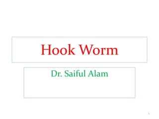 Hook Worm
Dr. Saiful Alam
1
 