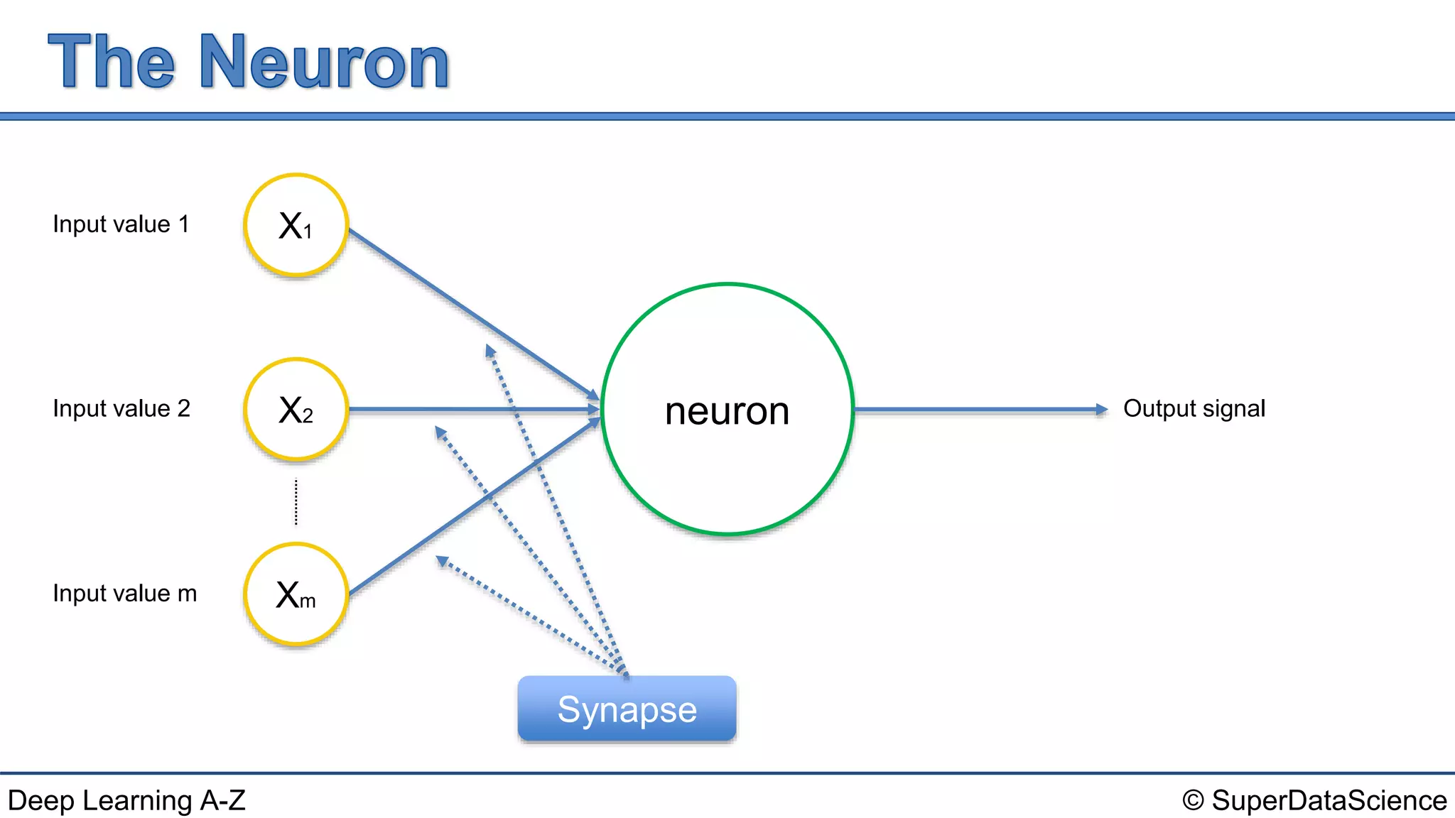 © SuperDataScienceDeep Learning A-Z
neuron
Input value 1
Input value 2
Input value m
X1
X2
Xm
Output signal
Synapse
 