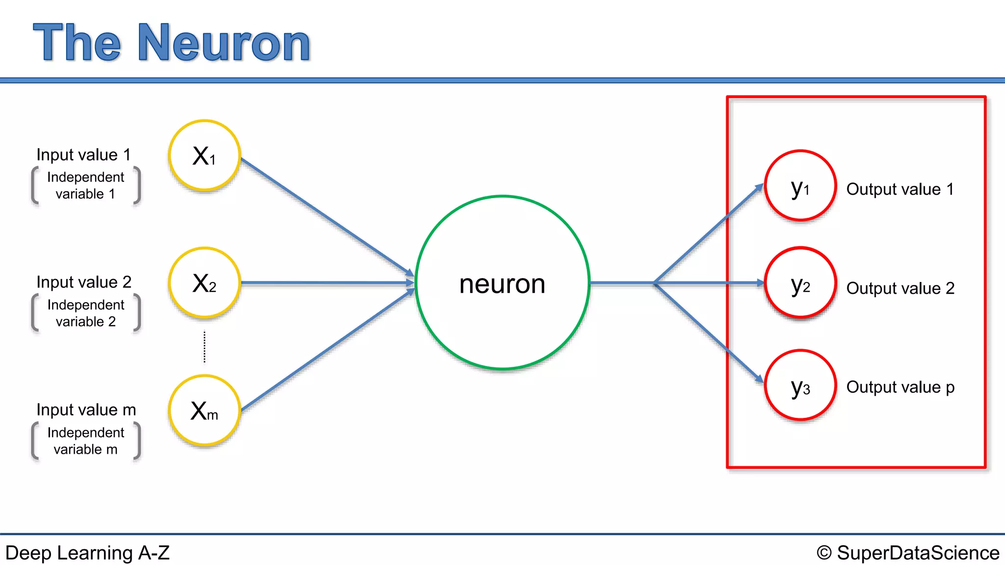 © SuperDataScienceDeep Learning A-Z
neuron
Input value 1
Input value 2
Input value m
Output value 1
Output value 2
Output value p
X1
X2
Xm
yy2
y1
y3
Independent
variable 1
Independent
variable 2
Independent
variable m
 