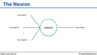 © SuperDataScienceDeep Learning A-Z
Input signal 1
Input signal 2
Input signal m
Output signalneuron
 