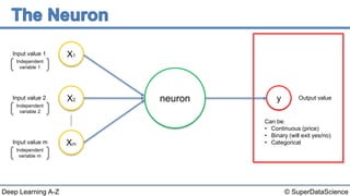 © SuperDataScienceDeep Learning A-Z
neuron
Input value 1
Input value 2
Input value m
Output value
X1
X2
Xm
y Output value
Can be:
• Continuous (price)
• Binary (will exit yes/no)
• Categorical
Independent
variable 1
Independent
variable 2
Independent
variable m
 