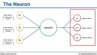 © SuperDataScienceDeep Learning A-Z
neuron
Input value 1
Input value 2
Input value m
Output value 1
Output value 2
Output value p
X1
X2
Xm
yy2
y1
y3
Independent
variable 1
Independent
variable 2
Independent
variable m
 
