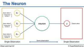 © SuperDataScienceDeep Learning A-Z
neuron
Single Observation
Same observation
X1
X2
Xm
y
Input value 1
Input value 2
Input value m
Output value
Independent
variable 1
Independent
variable 2
Independent
variable m
Single Observation
 