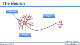 © SuperDataScienceDeep Learning A-Z
Image Source: Wikipedia
Neuron
Axon
Dendrites
 