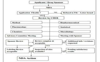 NDA Application.pptx