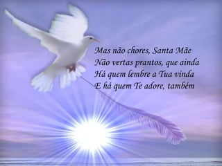 Mas não chores, Santa Mãe
Não vertas prantos, que ainda
Há quem lembre a Tua vinda
E há quem Te adore, também
 