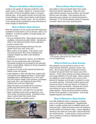 Where to Establish a Rain Garden                                   How to Plant a Rain Garden
Locate a rain garden to intercept runoff from roofs,          Use potted or bare root plants rather than seeds.
yards, drives, or streets. (Figure 2) It should not be        Plant from April to September. Place the more
built within 10 feet of foundation walls or on poorly         water tolerant species near the bottom, and drought
drained sites. A rain garden should not be built over         tolerant near the edges. Plant spacing will vary
buried utilities or where mature plants could obstruct        depending upon species and desired appearance.
overhead utilities or drivers’ vision. Do not construct       Generally, 15-18 inches between plants is adequate.
a rain garden where prohibited by local ordinances or         Consider mature size when spacing plants.
where subject to disturbance.

         How to Build a Rain Garden
Most rain gardens can be constructed with equipment
available to homeowners such as shovels, rakes, and
rototillers. A small rain garden of simple design can
be built in a day.
 • Do your homework first. Many design manuals are
   available, online and at public offices. Several are
   listed in the reference section of this publication.
 • Locate a proper site.
 • Calculate square footage draining to the rain
   garden (from roof, yard, drive, etc.).
 • Mark outline of rain garden. Rain garden area
   should equal about 10% of the drainage area.
   Irregular margins are often more attractive.               Figure 5. For much of the summer in the Great Plains,
   (Figure 3)                                                  a rain garden might be the only “green” area
 • Evaluate soil compaction, texture, and infiltration.       in a non-irrigated yard.
 • Dig a 4-8 inch deep basin with a flat bottom.
   Excavated material can be placed on the downhill                  What to Plant in a Rain Garden
   side or moved offsite. (Figure 4) Avoid compaction         Rain gardens can be planted to native or non-
   during construction.                                       native species of flowers, grasses, shrubs, and
 • Loosen 6-12 inches of the natural soil below the           trees. Do not plant species considered invasive.
   bottom of the rain garden.                                 Consider the growth habit and mature size of the
 • Large designs or sites with high clay content soils        species. Some native species are deep rooting and
   may require over-digging the basin 1-2 feet deep,          encourage infiltration of runoff water. Native species
   backfilling with a well blended mix of 70% sand            are adapted to local conditions and may be more
   and 30% organic matter (yard compost, purchased            tolerant of diseases and drought, compared to some
   peat moss, etc.), and shaping the top of this              non-native species. A diversity of plant species will
   material into a 4-8 inch deep basin.
                                                              provide an array of color and texture, and attract a
 • Slope and pack any created berms, leaving a                variety of insects and wildlife. Disease and insects
   gentle slope that will be easy to maintain.                may destroy an entire rain garden if planted to a
 • Smooth, seed berm, and plant the rain garden.              single species. Plants requiring constant moisture
 • Apply shredded wood mulch as desired to con-               should not be planted in a rain garden. Use locally
   serve water and control weeds. Shredded mulch              adapted species and varieties.
   stays in place better than wood chips.
 • Water and weed to establish plants.                              How to Maintain a Rain Garden
                                                              Very little additional water or weeding is needed
                                                              once a rain garden is established. Supplemental
                                                              water is usually needed only to establish plants and
                                                              during drought. Apply and renew mulch as needed to
                                                              control weeds and conserve water. Leave vegetation
Checking                                                      standing over winter for snow catch, textural diversity,
depth with a                                                  and visual interest. In early spring, remove previous
carpenter’s                                                   year’s growth by mowing or clipping before new
level                                                         growth initiates.
                                                          4
 