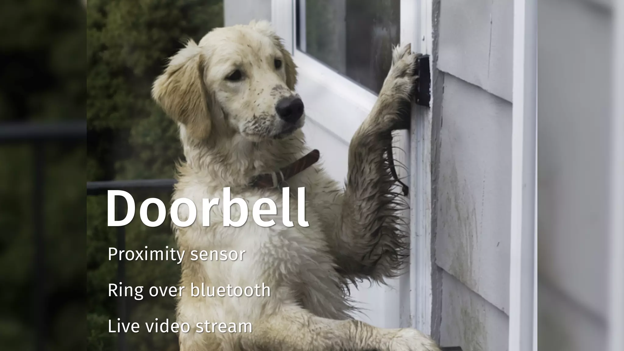 Doorbell 
Proximity sensor 
Ring over bluetooth 
Live video stream 
 