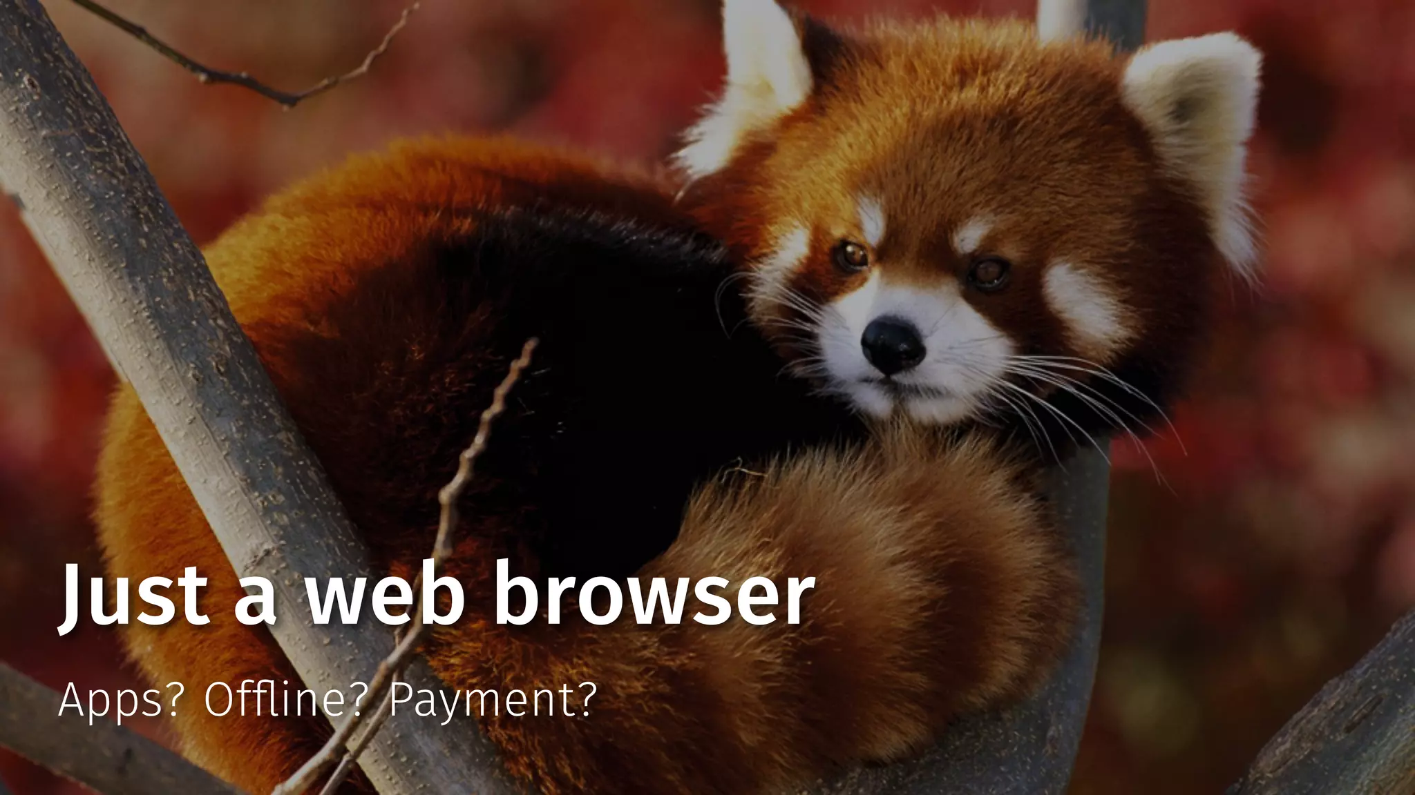 Just a web browser 
Apps? Offline? Payment? 
 