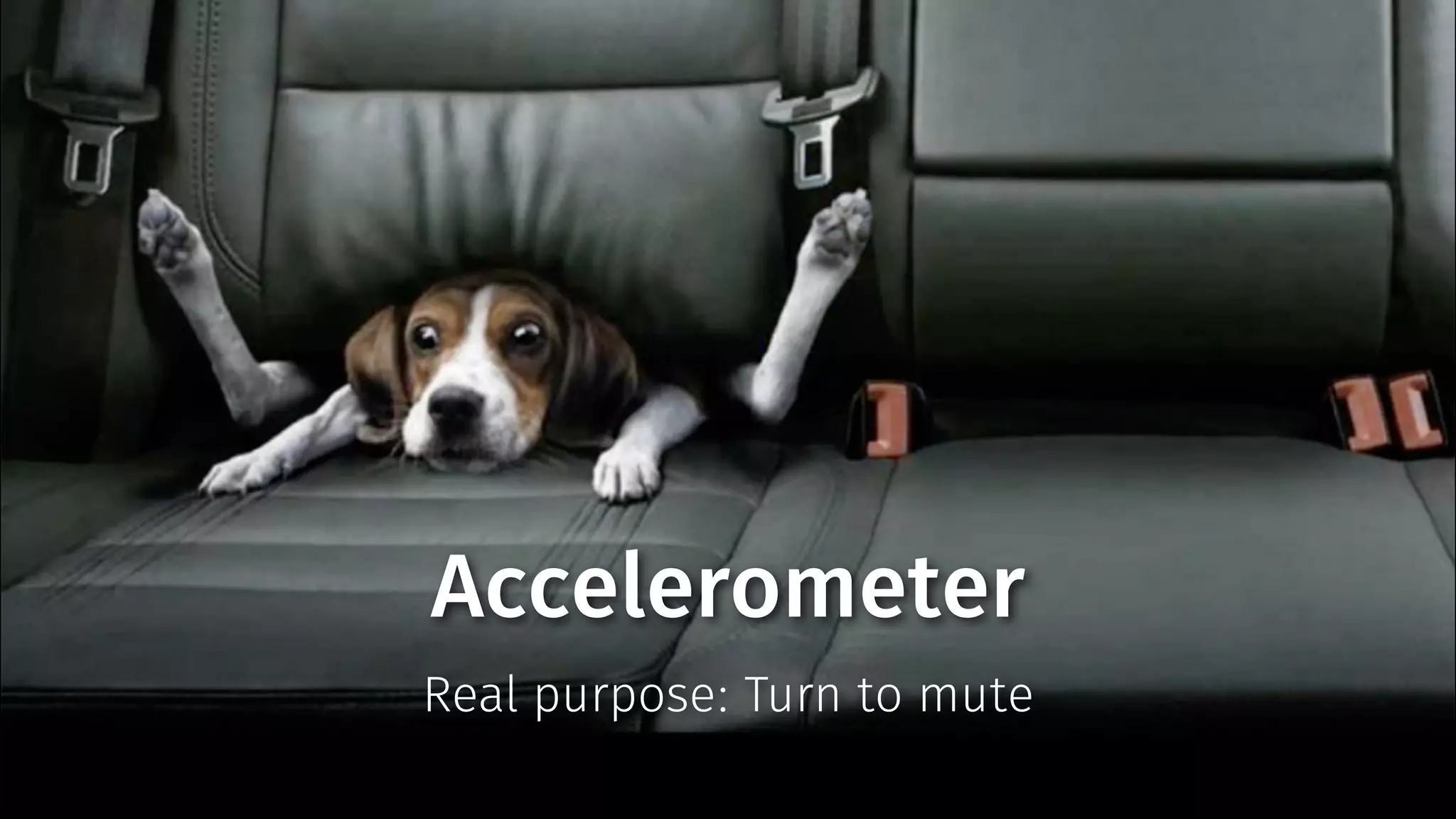 Accelerometer 
Real purpose: Turn to mute 
 