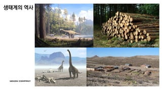 생태계의 역사
 