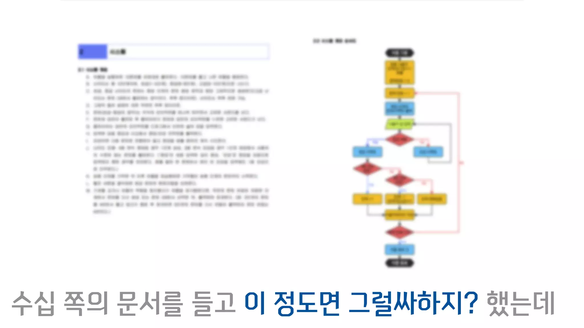 수십 쪽의 문서를 들고 이 정도면 그럴싸하지? 했는데
 