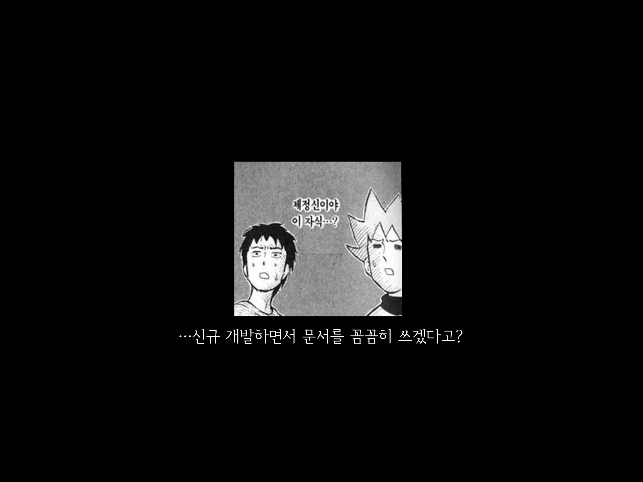 …신규 개발하면서 문서를 꼼꼼히 쓰겠다고?
 