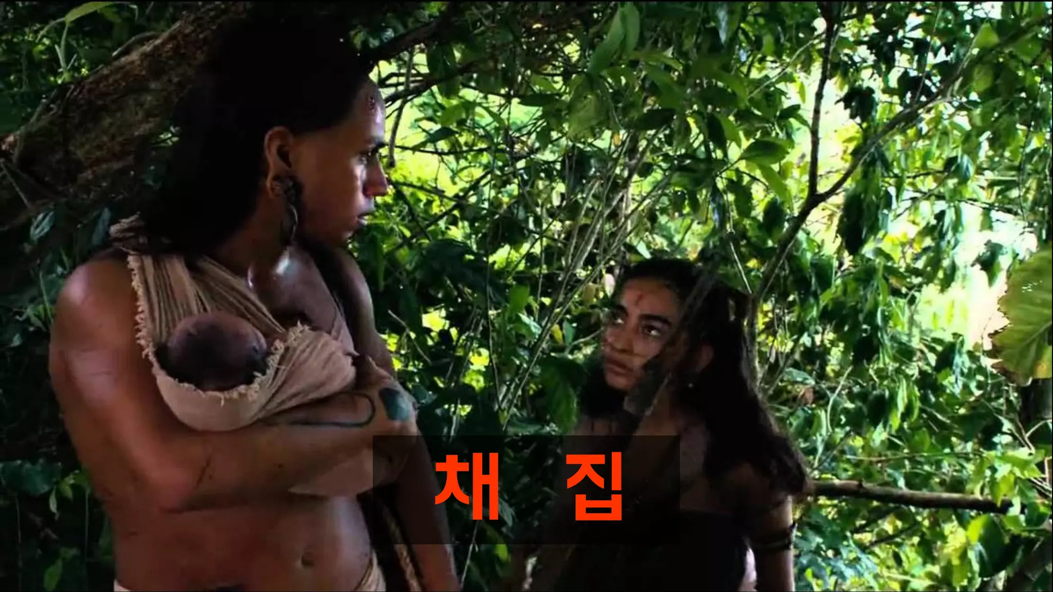 채 집
 