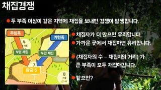 채집경쟁
두 부족 이상이 같은 지역에 채집을 보내면 경쟁이 발생합니다.
4명 채집
채집자가 더 많으면 유리합니다.
가까운 곳에서 채집하면 유리합니다.
(채집자의 수 – 채집지의 거리) 가
큰 부족이 모두 채집해갑니다.
같으면?
4명 채집
무림족
기현족
황금 5
 