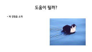 도움이 될까?
• 제 경험을 소개
 