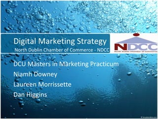 Digital Marketing Strategy North Dublin Chamber of Commerce - NDCC DCU Masters in Marketing Practicum Niamh Downey Laureen Morrissette Dan Higgins 