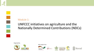 Module 1:
UNFCCC initiatives on agriculture and the
Nationally Determined Contributions (NDCs)
Organized by
With support from
 