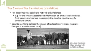 • Tier 2 requires data specific to national circumstances
• E.g. for the livestock sector need information on animal characteristics,
feed baskets and manure management to develop country specific
emissions factors.
• Need to use Tier 2 to track the impact of sectoral interventions (capture
changes in emissions over time)
Tier 1 versus Tier 2 emissions calculations
Livestock herding in
Niger (photo credit:
ILRI/Stevie Mann)
 