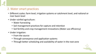 • Different scales: farm level, irrigation systems or catchment level, and national or
river basin level
• Under rainfed agriculture:
• Water harvesting
• Soil management practices for capture and retention
• Soil fertility and crop management innovations (Water use efficiency)
• Under irrigation:
• From the source
• Through conveyance and application systems
• Through better scheduling and availability of water in the root zone
2. Water smart practices
 