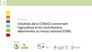 Training workshop on Implementing Nationally Determined Contributions (NDC) Commitments in Agriculture (French)