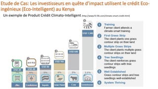 Training workshop on Implementing Nationally Determined Contributions (NDC) Commitments in Agriculture (French)