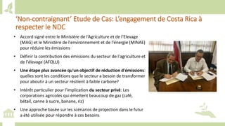 Training workshop on Implementing Nationally Determined Contributions (NDC) Commitments in Agriculture (French)