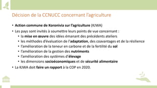 Training workshop on Implementing Nationally Determined Contributions (NDC) Commitments in Agriculture (French)