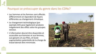 Training workshop on Implementing Nationally Determined Contributions (NDC) Commitments in Agriculture (French)