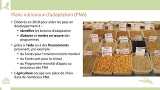 Training workshop on Implementing Nationally Determined Contributions (NDC) Commitments in Agriculture (French)