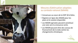Training workshop on Implementing Nationally Determined Contributions (NDC) Commitments in Agriculture (French)