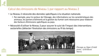Training workshop on Implementing Nationally Determined Contributions (NDC) Commitments in Agriculture (French)
