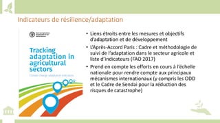 Training workshop on Implementing Nationally Determined Contributions (NDC) Commitments in Agriculture (French)