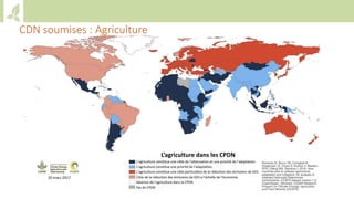 Training workshop on Implementing Nationally Determined Contributions (NDC) Commitments in Agriculture (French)