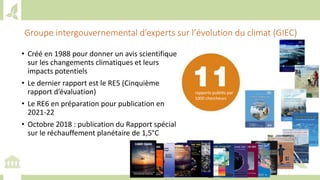 Training workshop on Implementing Nationally Determined Contributions (NDC) Commitments in Agriculture (French)