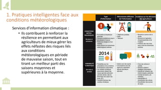 Training workshop on Implementing Nationally Determined Contributions (NDC) Commitments in Agriculture (French)