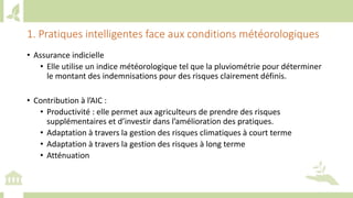 Training workshop on Implementing Nationally Determined Contributions (NDC) Commitments in Agriculture (French)