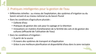 Training workshop on Implementing Nationally Determined Contributions (NDC) Commitments in Agriculture (French)
