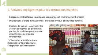 Training workshop on Implementing Nationally Determined Contributions (NDC) Commitments in Agriculture (French)