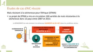 Training workshop on Implementing Nationally Determined Contributions (NDC) Commitments in Agriculture (French)