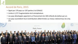 Training workshop on Implementing Nationally Determined Contributions (NDC) Commitments in Agriculture (French)