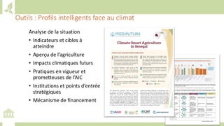 Training workshop on Implementing Nationally Determined Contributions (NDC) Commitments in Agriculture (French)